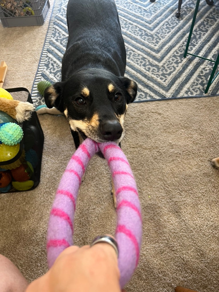 Wool tug toy