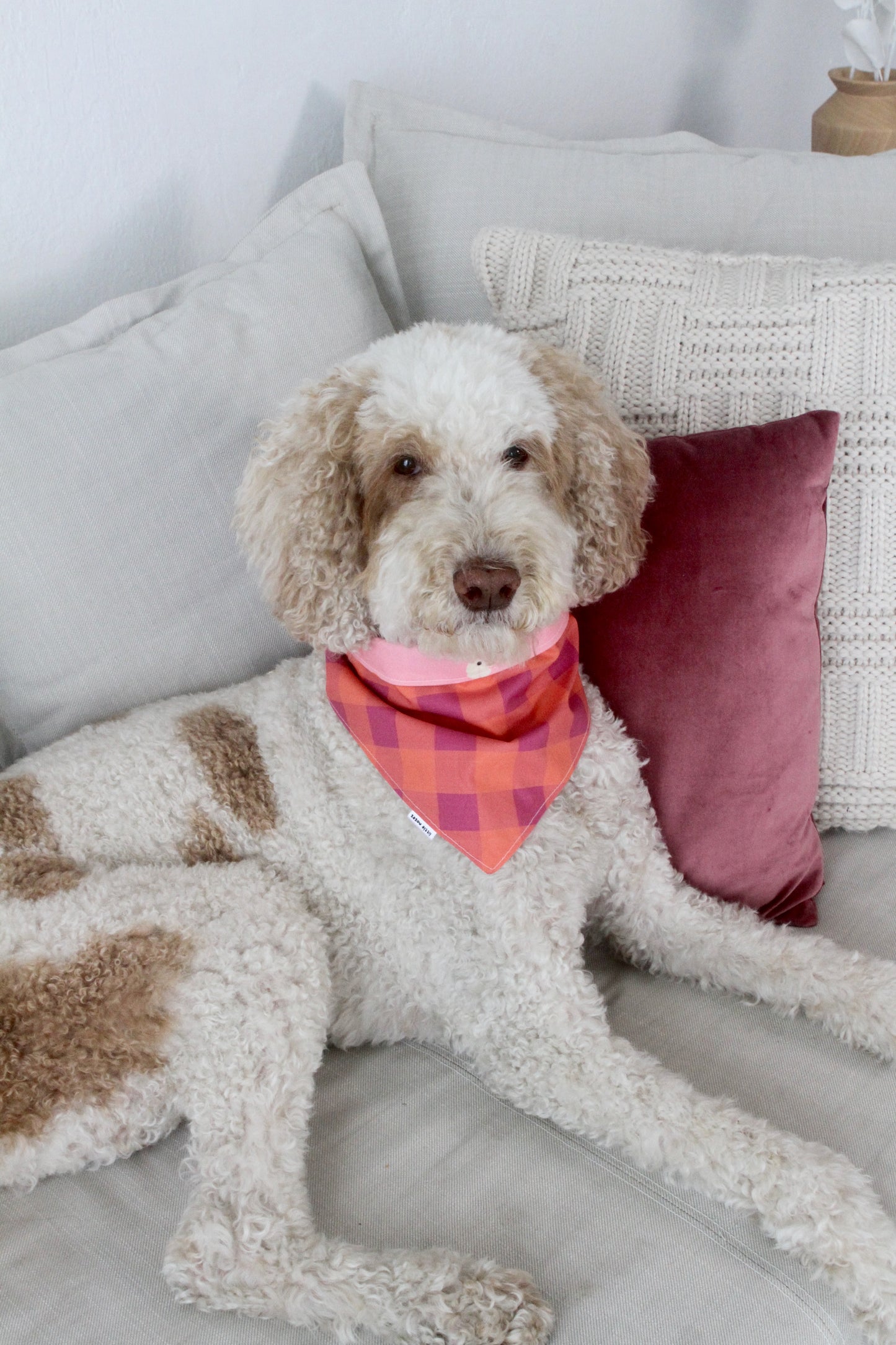 Pink pumpkins reversible pet bandana