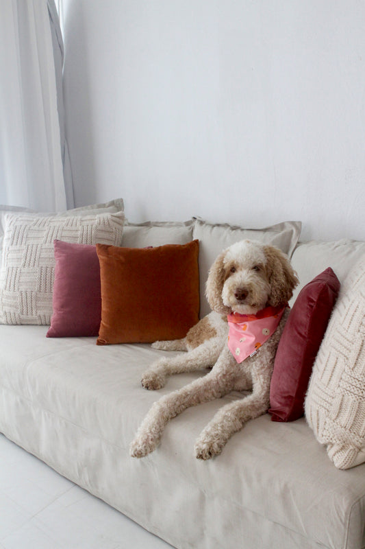 Pink pumpkins reversible pet bandana