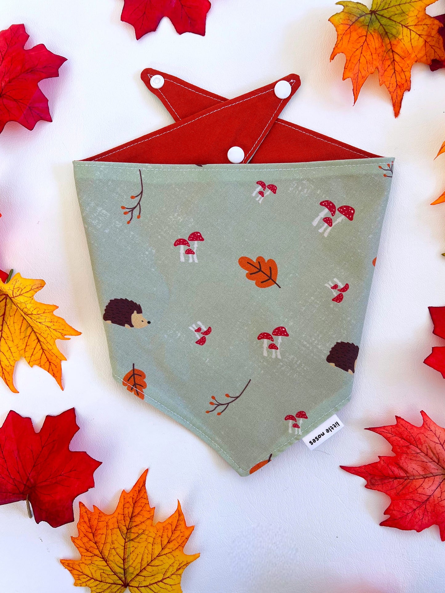 Hedgehogs and mushrooms reversible pet bandana