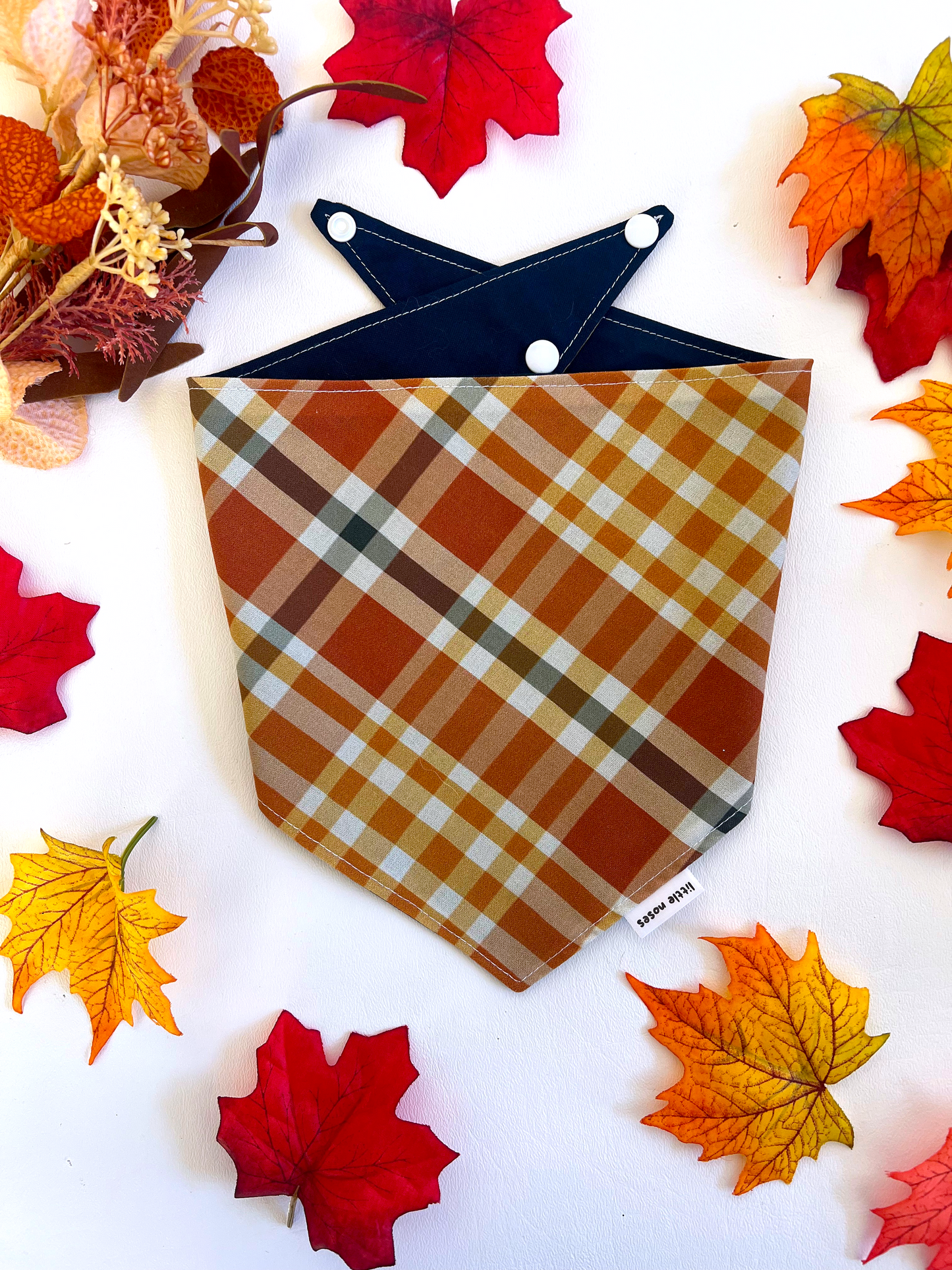 Pumpkin spice latte reversible pet bandana