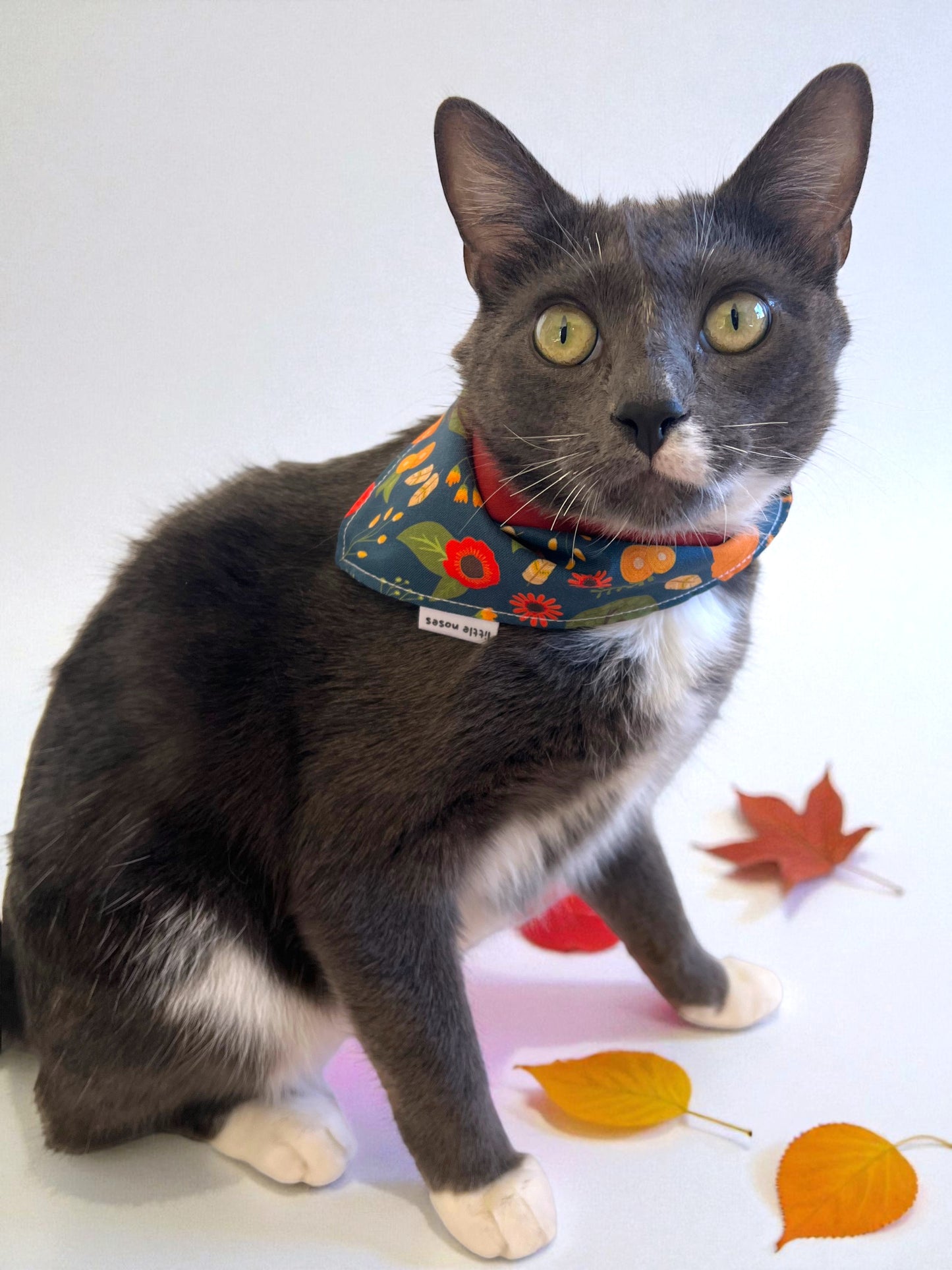 Foxy fall reversible pet bandana