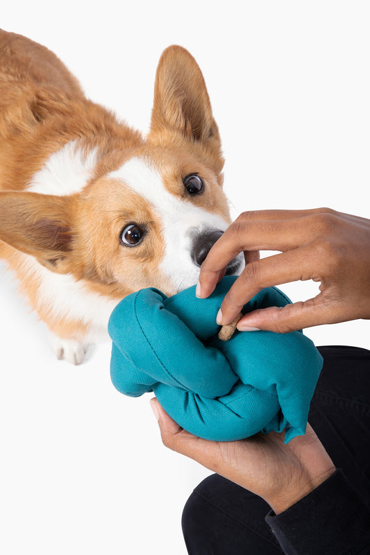 Ocean blue canvas puzzle toy knot