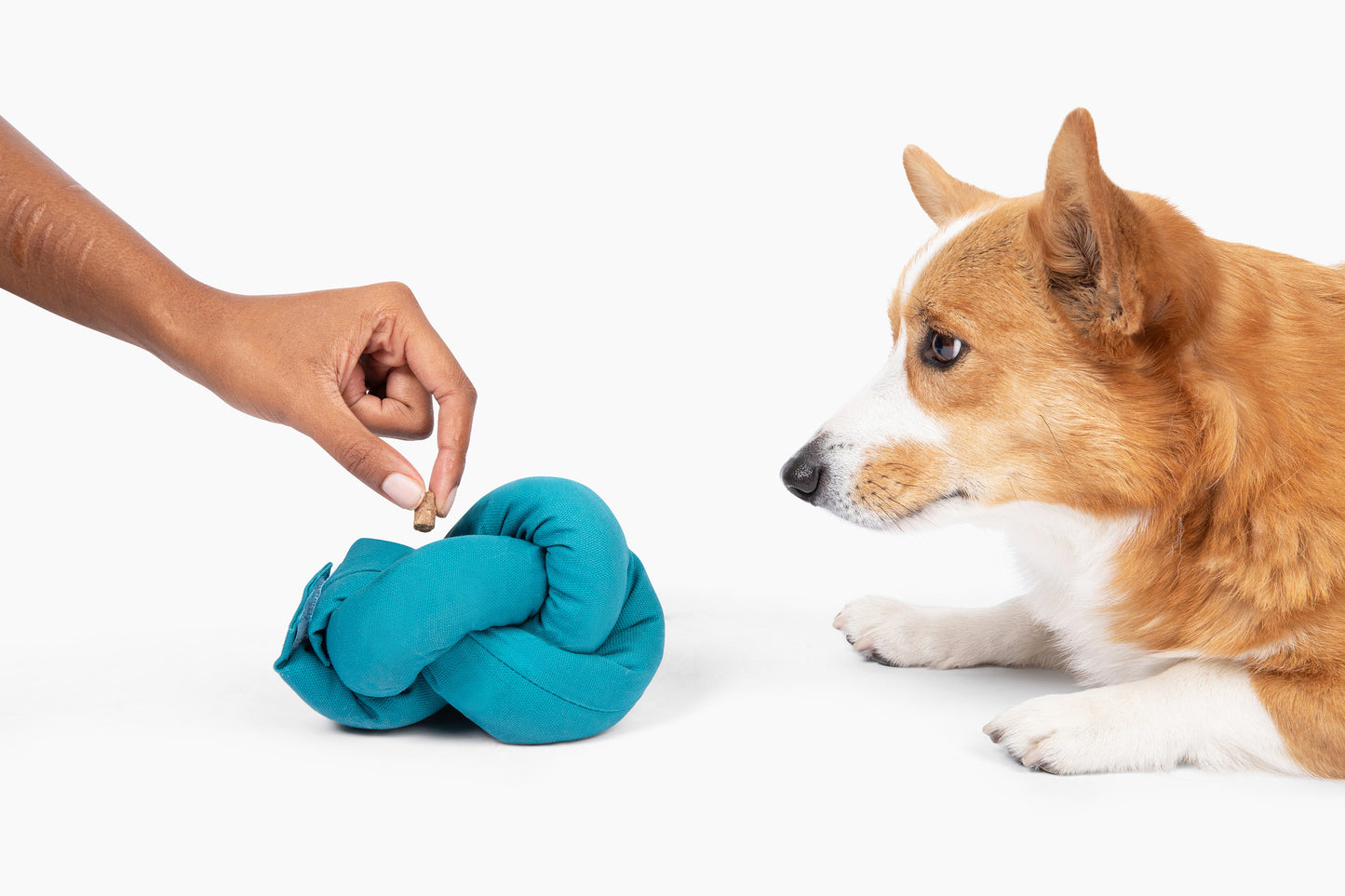 Ocean blue canvas puzzle toy knot