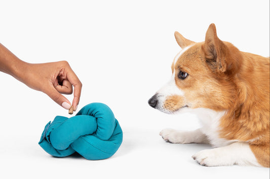 Ocean blue canvas puzzle toy knot