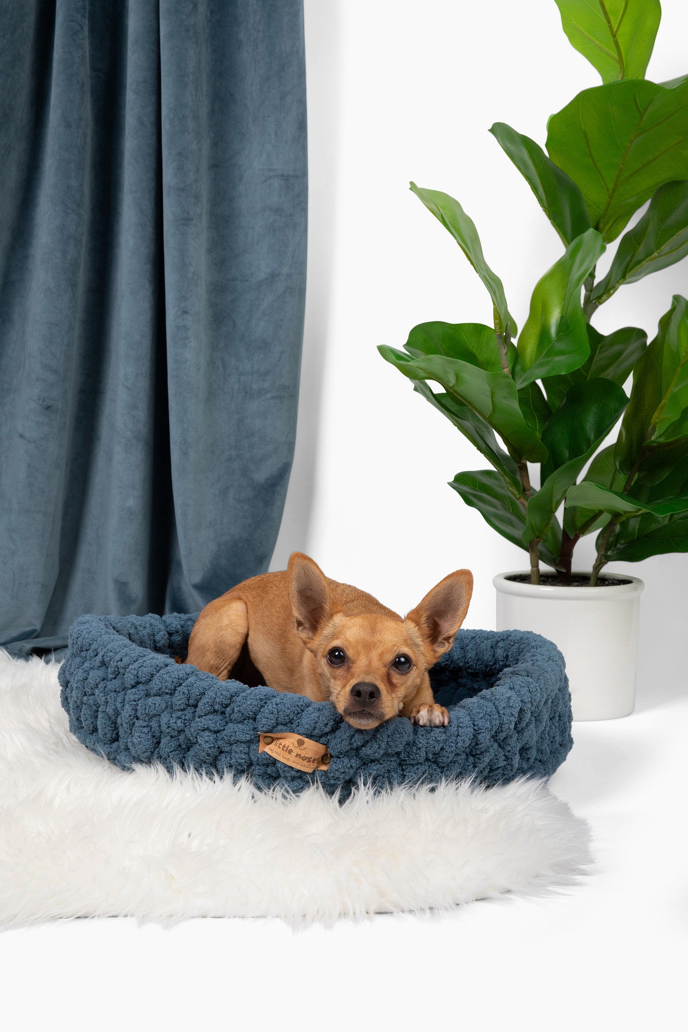 Ocean blue pet bed