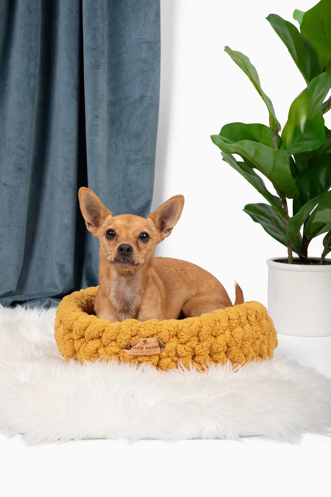 Sunflower yellow pet bed