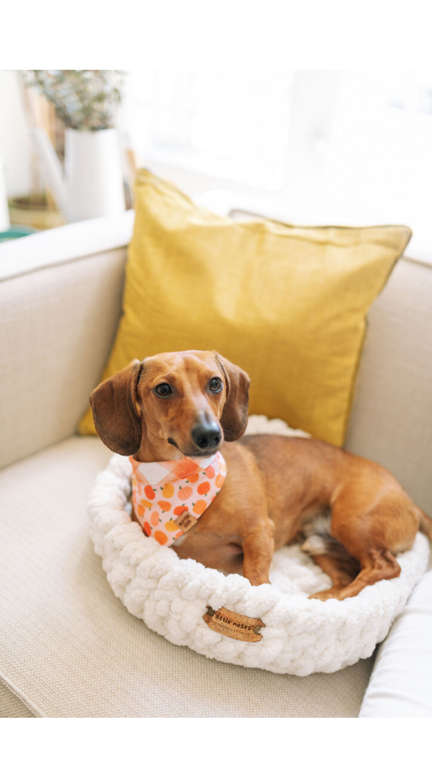 Natural white pet bed