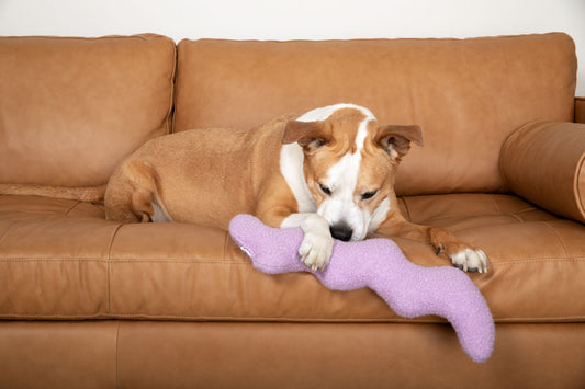 Jumbo wiggle crinkle toy