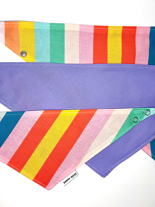 Rainbow stripe reversible pet bandana