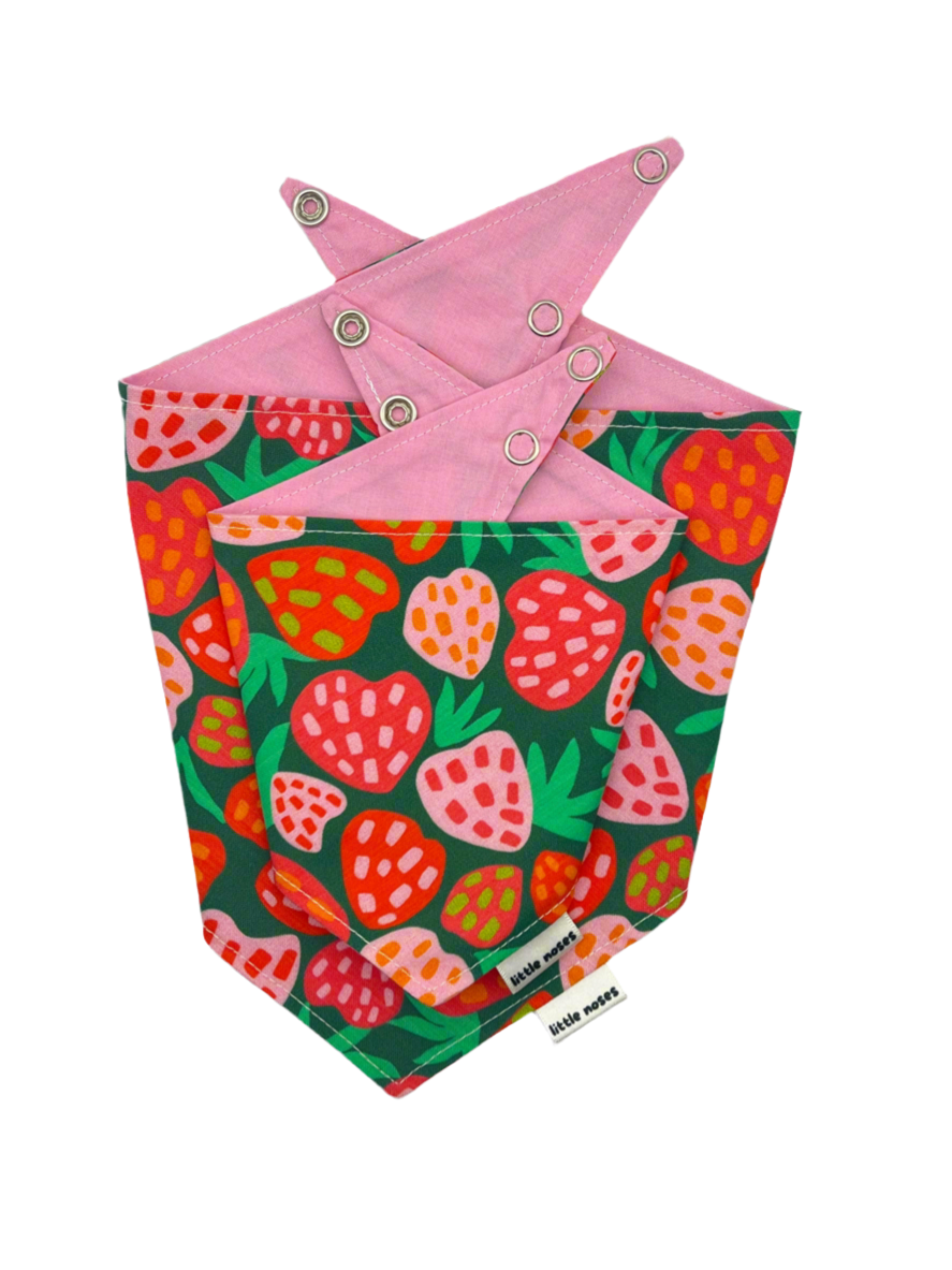 Pink and green strawberries reversible pet bandana