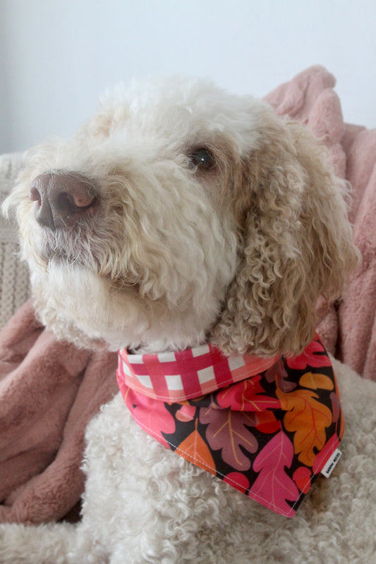 Oak leaves reversible pet bandana