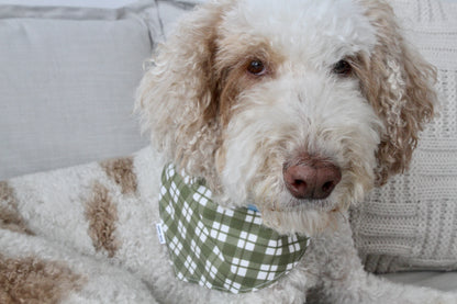 Tiny blue pumpkins reversible pet bandana