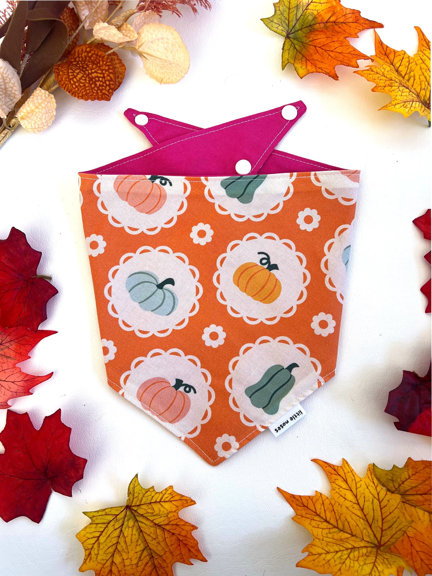 Pumpkin lace reversible pet bandana
