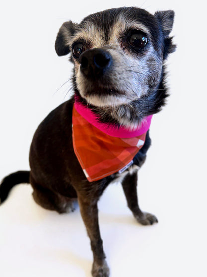 Deep orange plaid reversible pet bandana