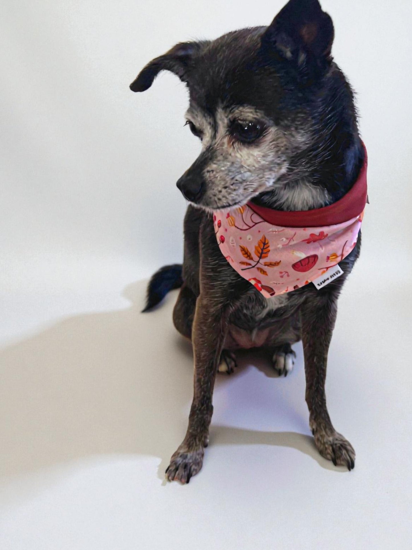 Pink leaves and acorns reversible pet bandana