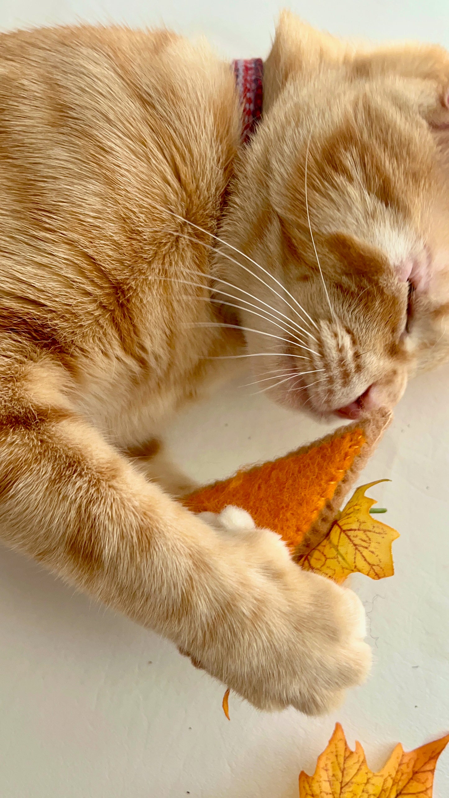 Pie and carrot - set of 2 wool catnip toys