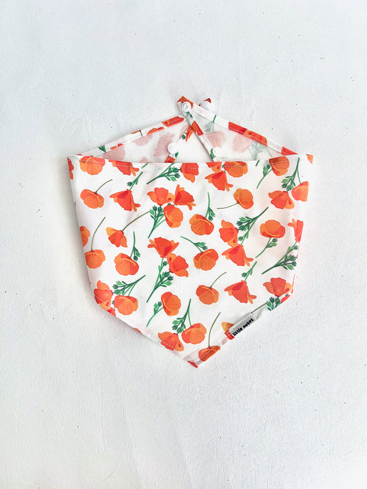 California poppies pet bandana