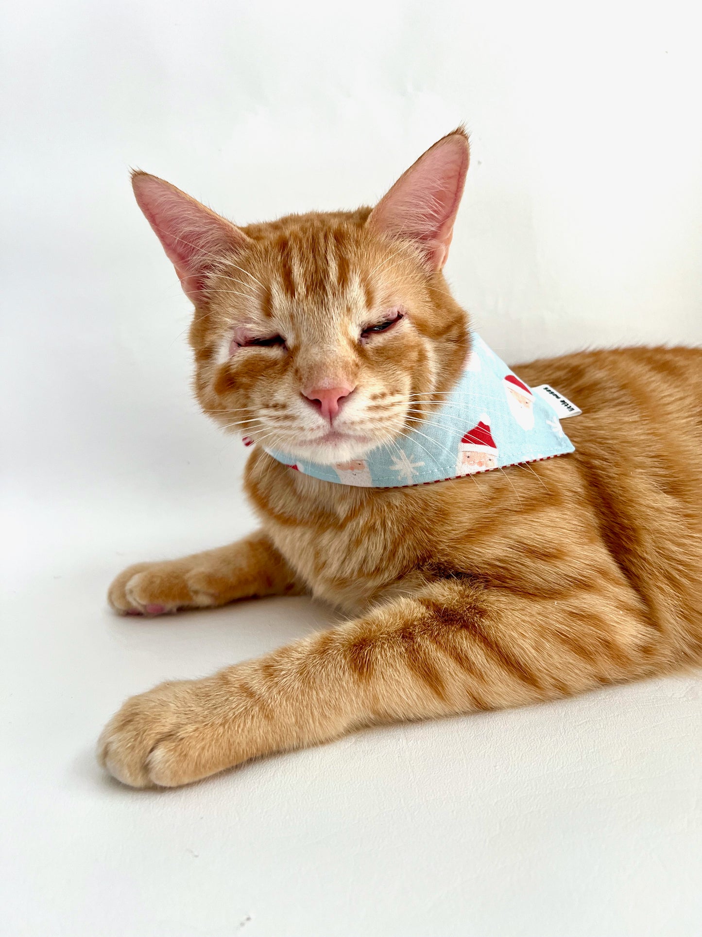 Santa party reversible pet bandana