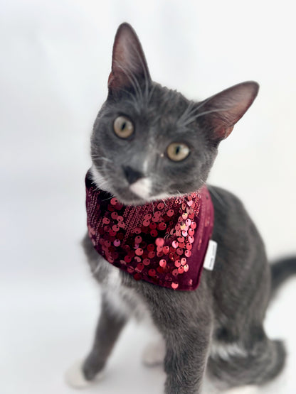 Burgundy luxury reversible pet bandana