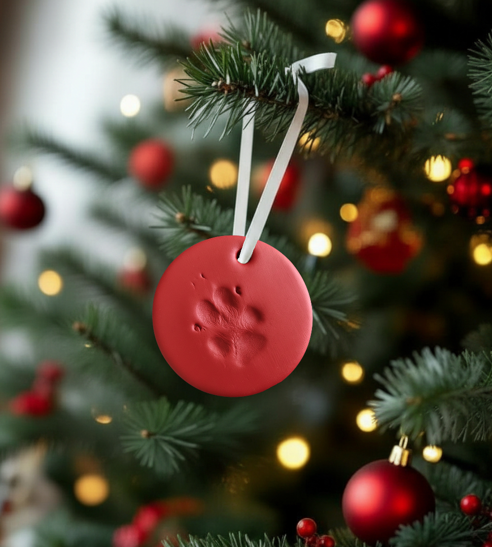 Paw print ornament kit