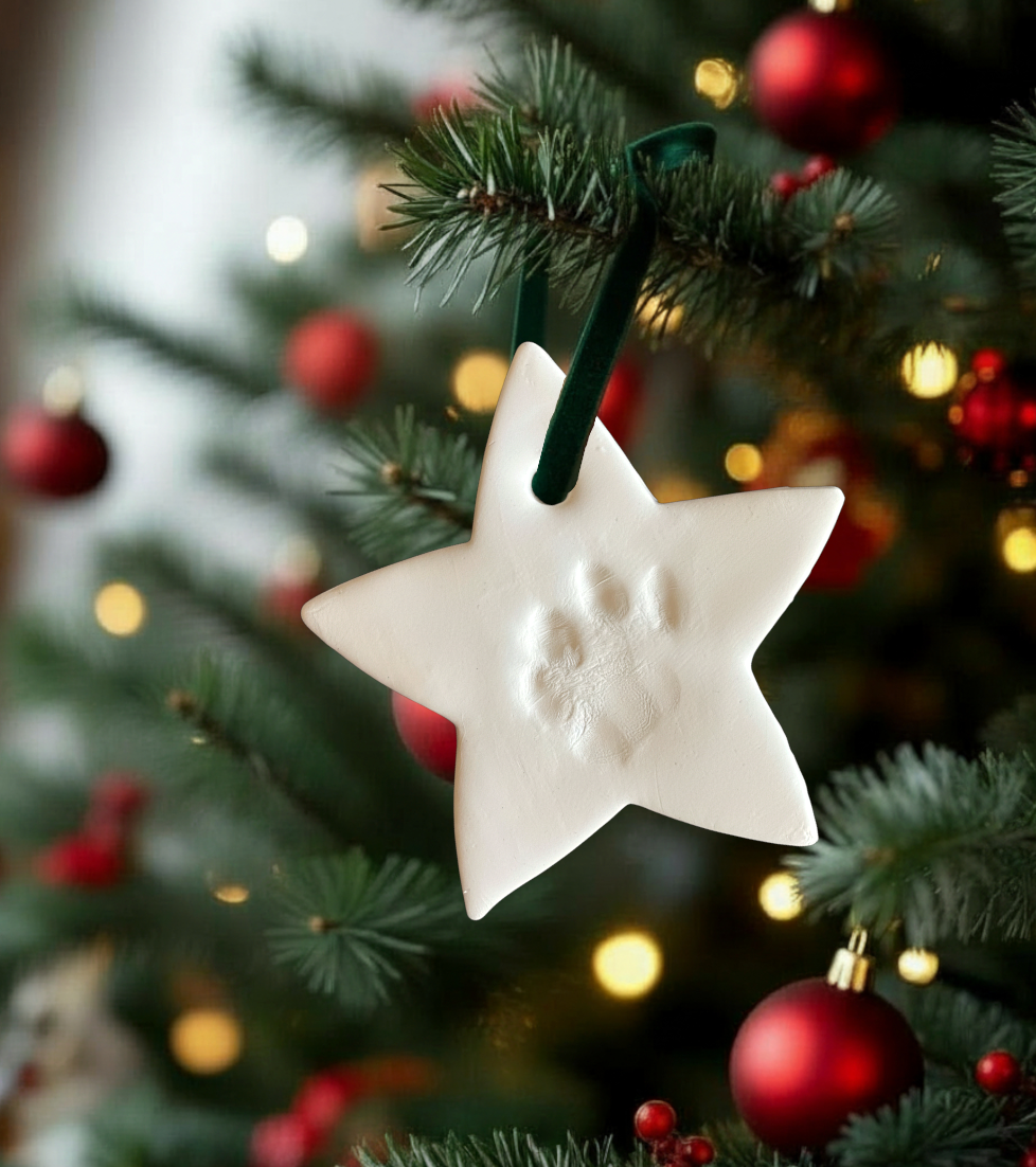 Paw print ornament kit