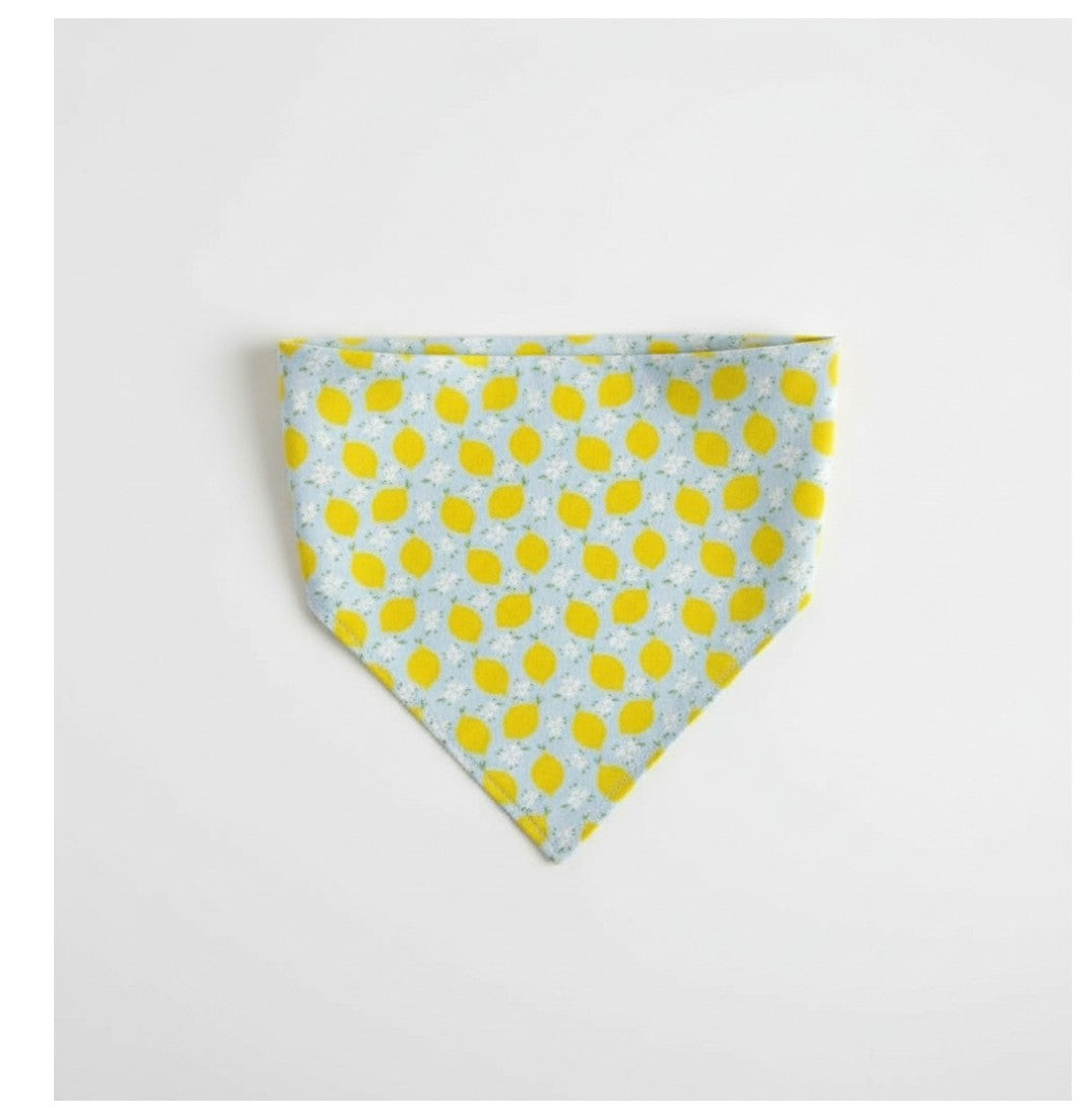 Sweet lemons reversible pet bandana