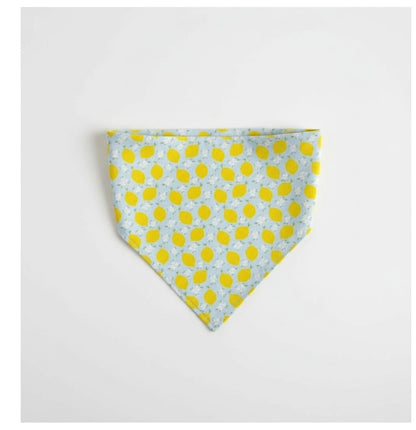 Sweet lemons reversible pet bandana