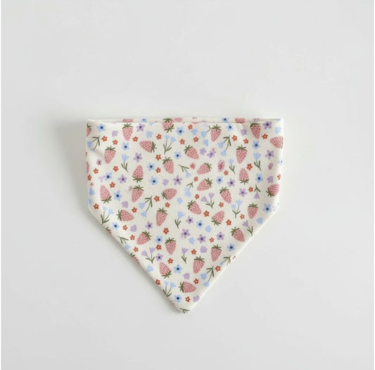 Strawberry field of flowers reversible pet bandana