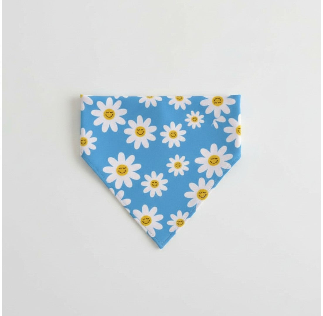 Happy daisies reversible pet bandana