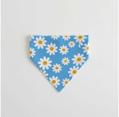 Happy daisies reversible pet bandana