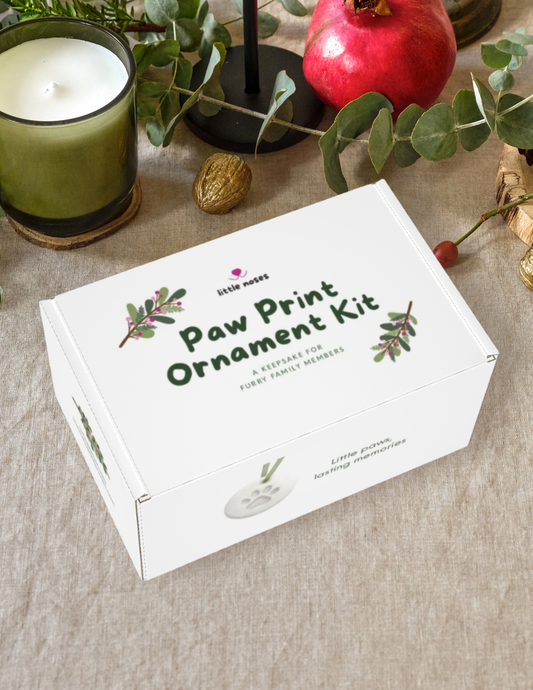 Paw print ornament kit