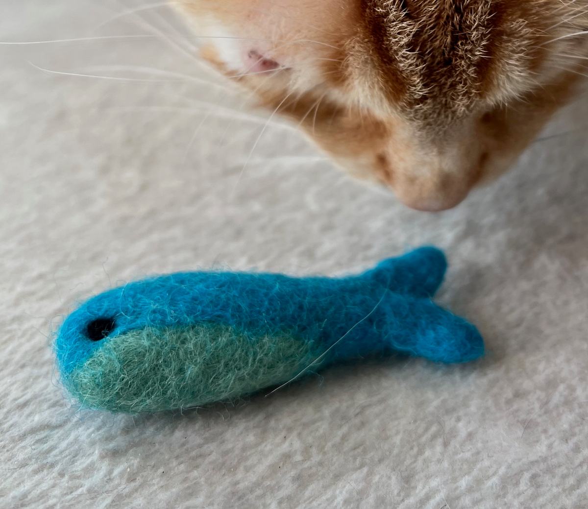 Wool catnip sardines