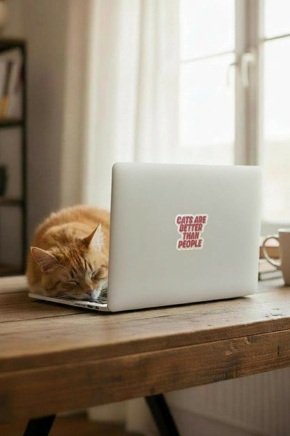 Cats are better than people sticker