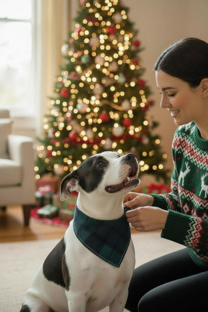 Green and blue plaid reversible pet bandana