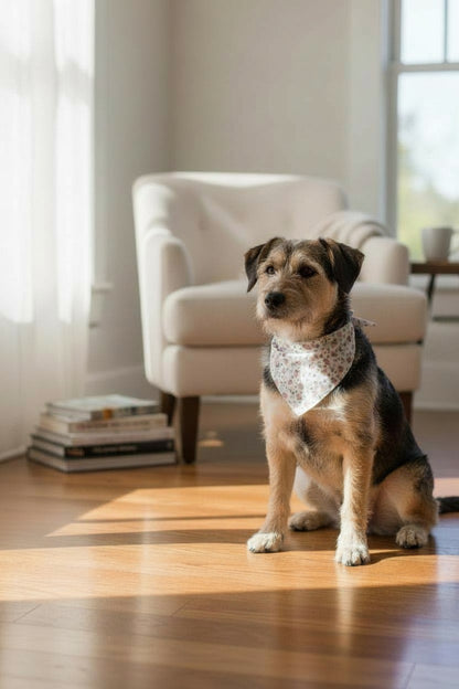 Strawberry field of flowers reversible pet bandana