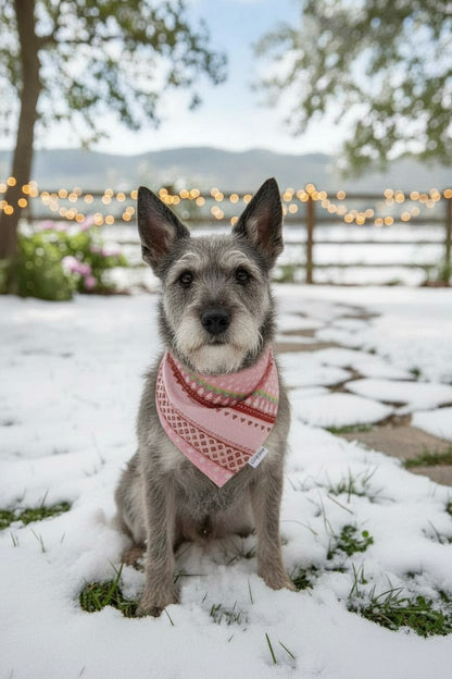 Pink holiday reversible pet bandana