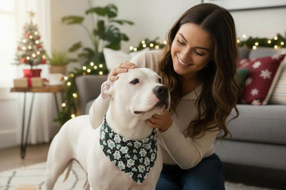 Cutie yeti reversible pet bandana