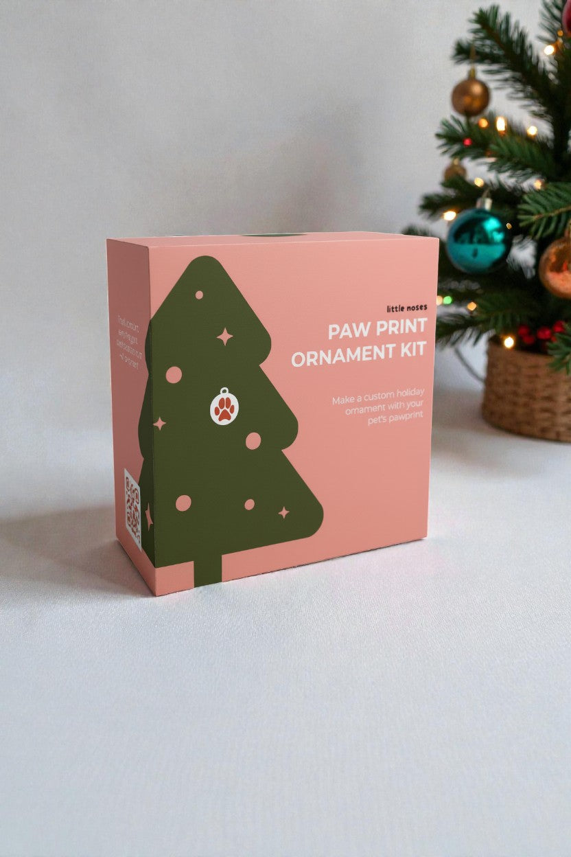 Paw print ornament kit