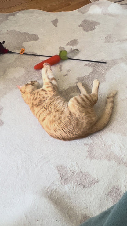Carrot kicker toy
