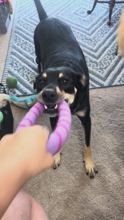 Wool tug toy