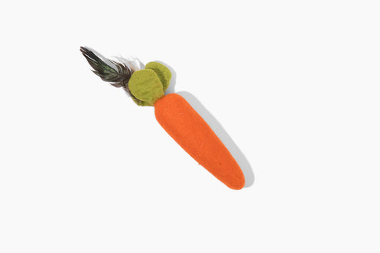 Carrot kicker toy