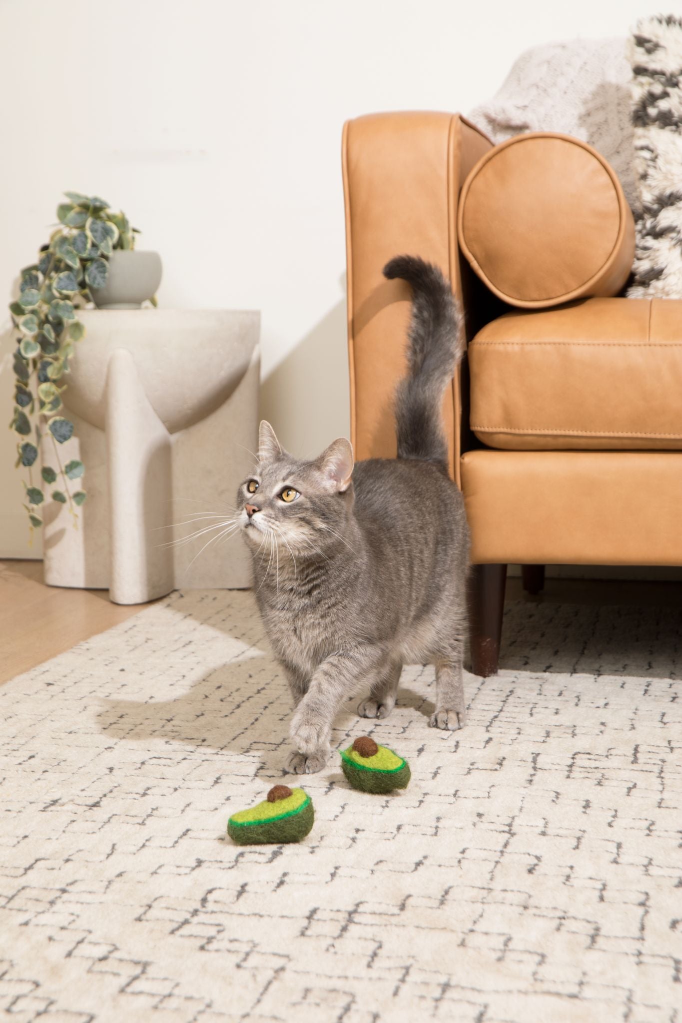 Double avocado wool catnip toy