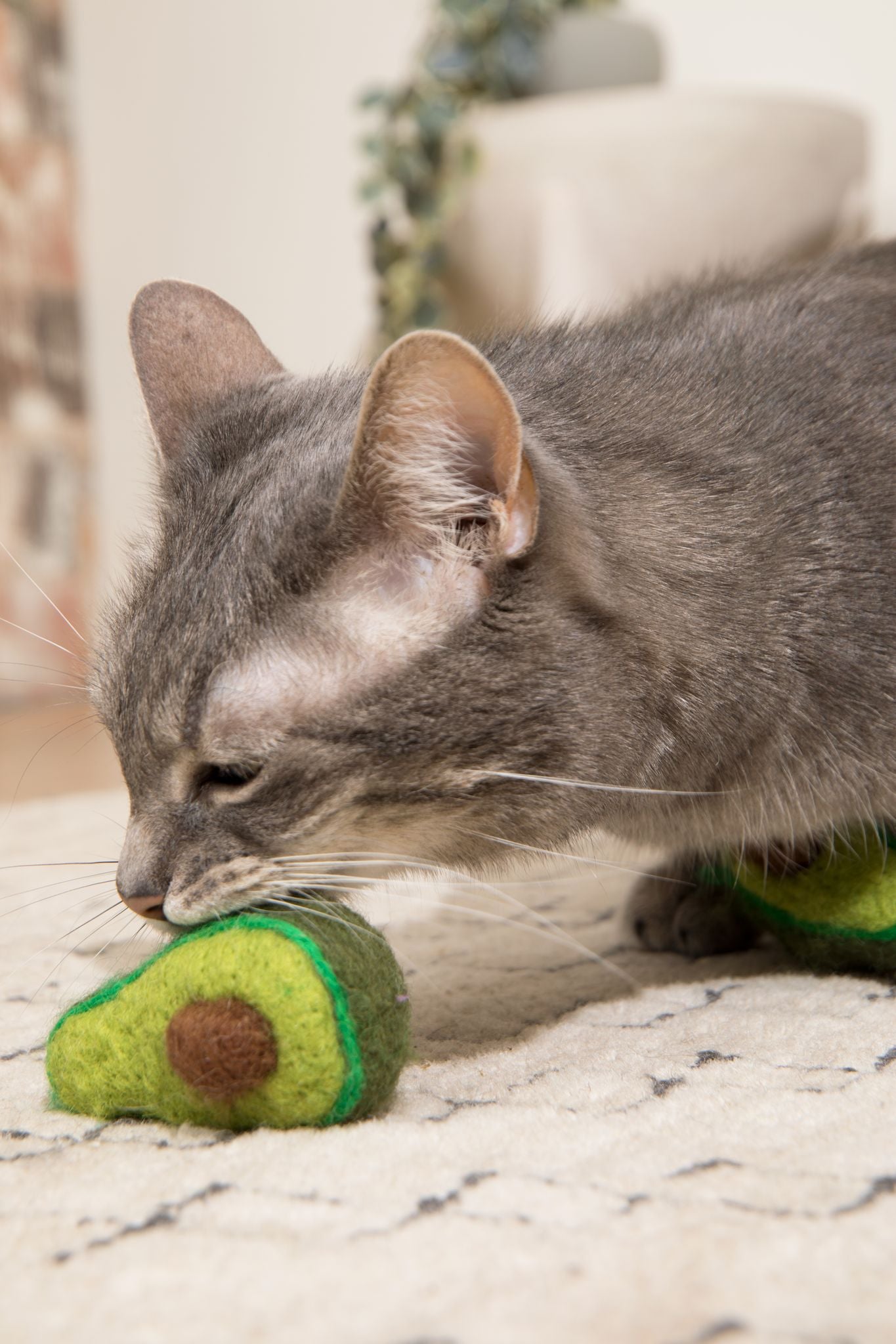 Double avocado wool catnip toy